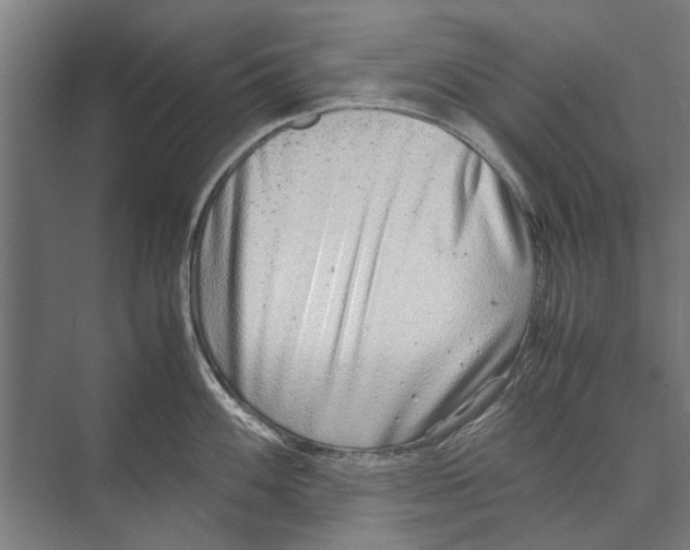 X0000071951100200608041547