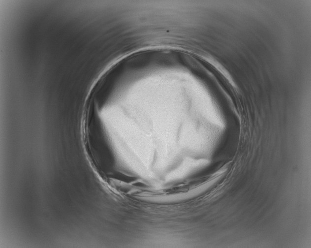 X0000071951101200608041547