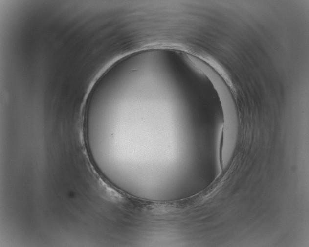 X0000071951102200608041547