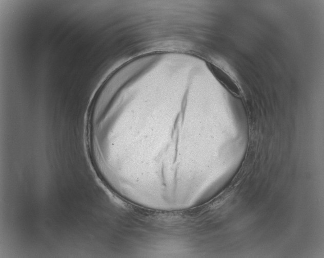 X0000071951103200608041547