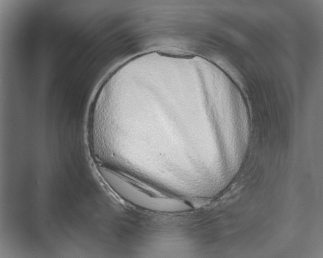 X0000071951104200608041546