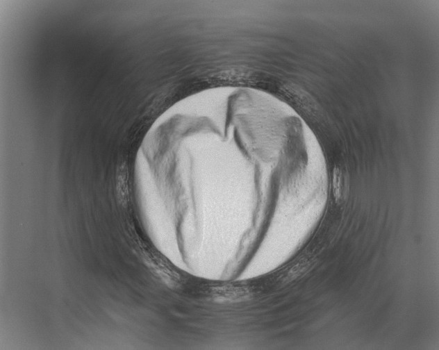 X0000071951107200608041546