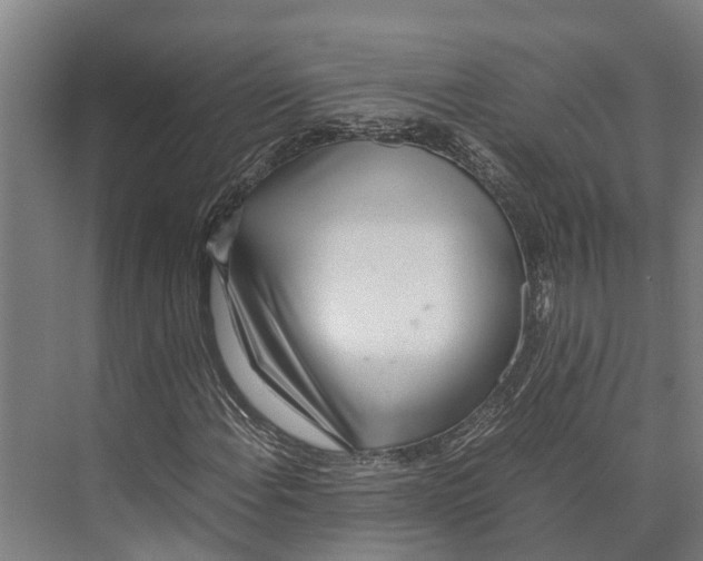 X0000071951108200608041546