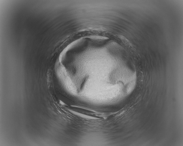 X0000071951110200608041546