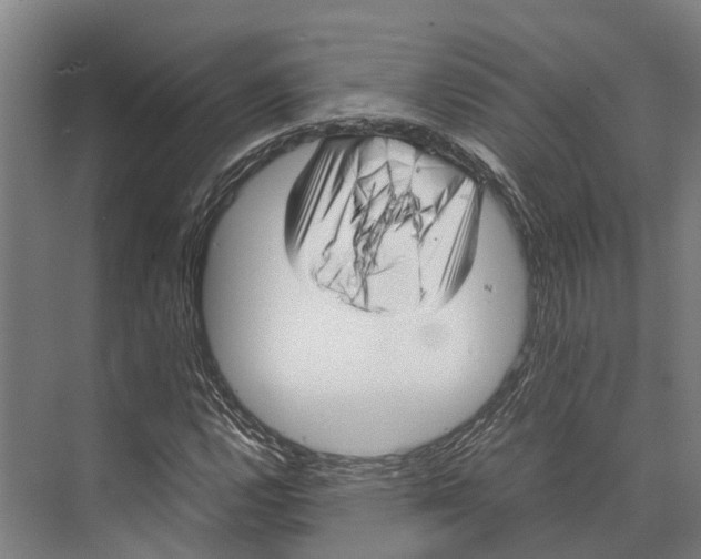 X0000071951112200608041546