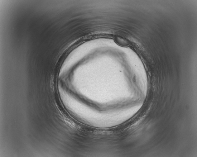 X0000071951113200608041546