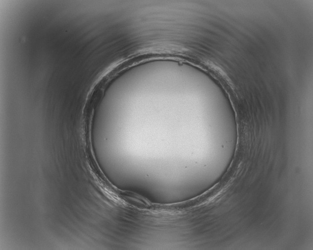 X0000071951114200608041546