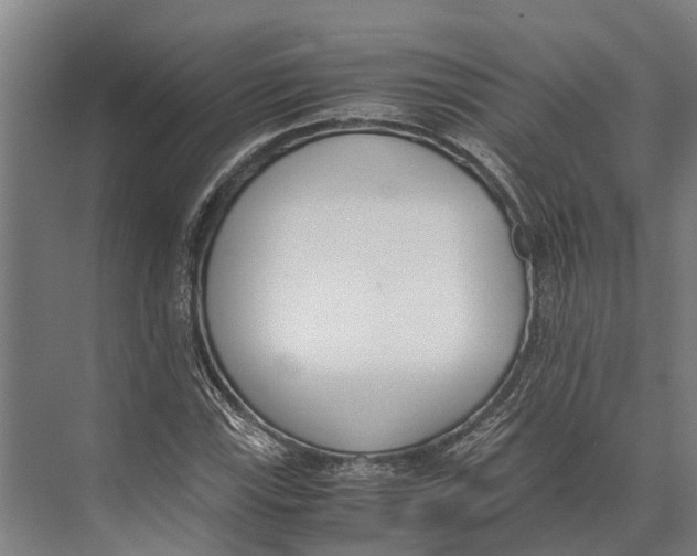 X0000071951115200608041546