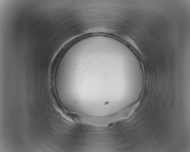 X0000071951116200608041546