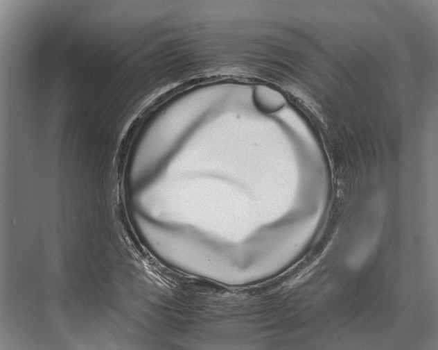 X0000071951117200608041546