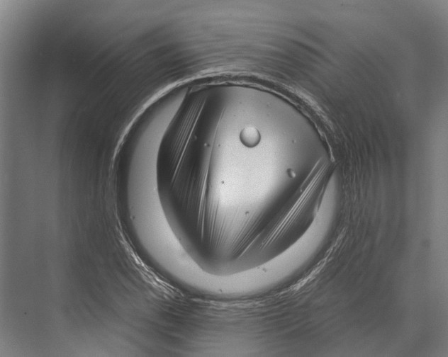 X0000071951118200608041546