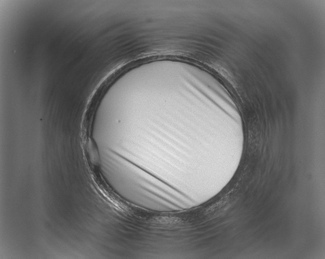 X0000071951119200608041546