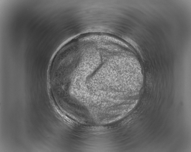 X0000071951120200608041546