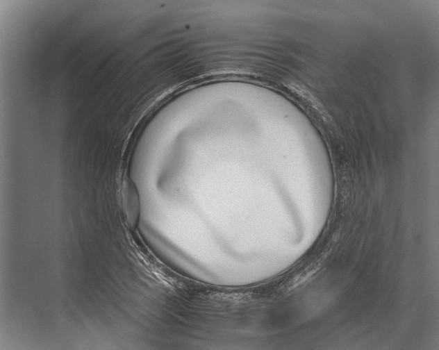 X0000071951121200608041546