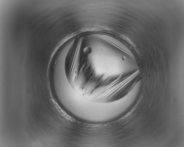 X0000071951122200608041546