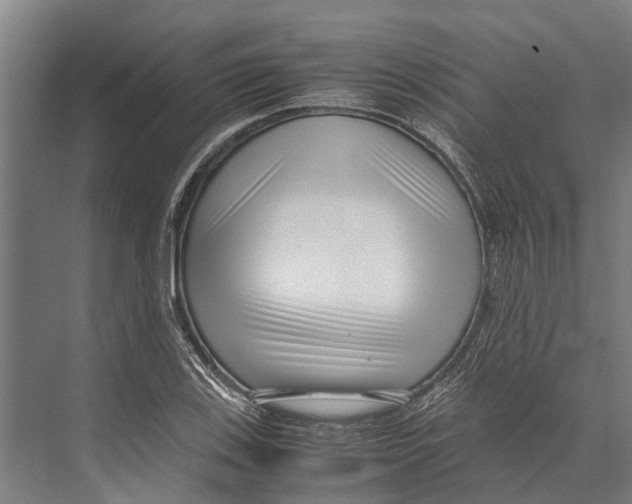 X0000071951123200608041546