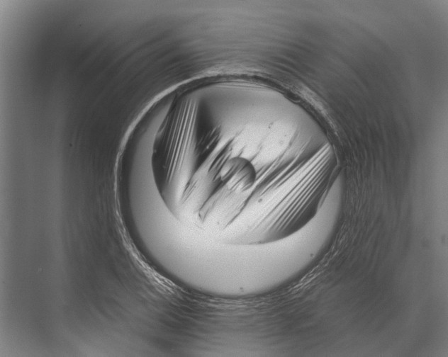 X0000071951124200608041546