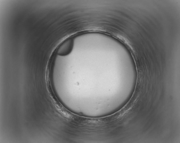 X0000071951125200608041546