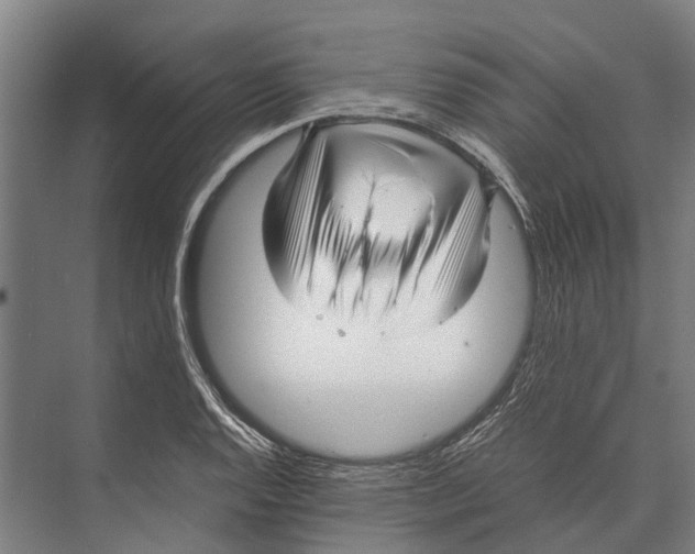 X0000071951128200608041546