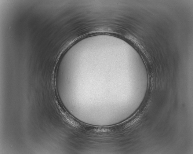 X0000071951129200608041546