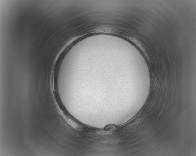 X0000071951131200608041546