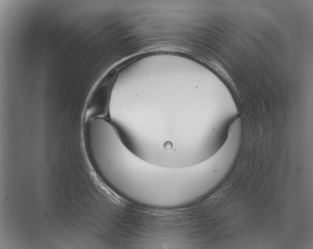 X0000071951132200608041546