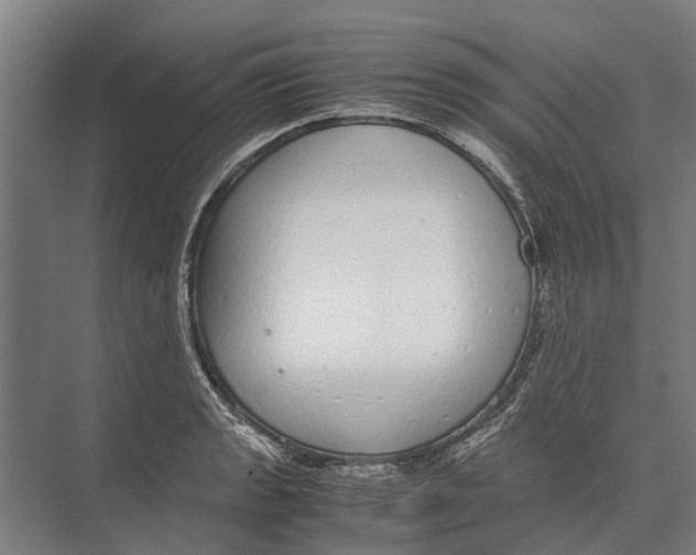 X0000071951133200608041546