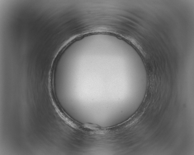 X0000071951134200608041546