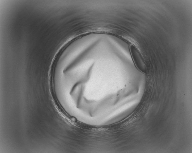 X0000071951135200608041546