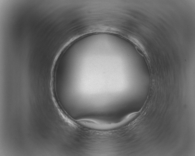 X0000071951136200608041546