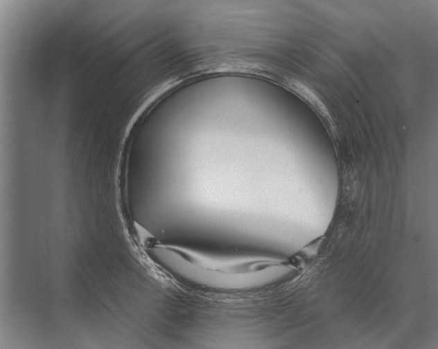 X0000071951138200608041546