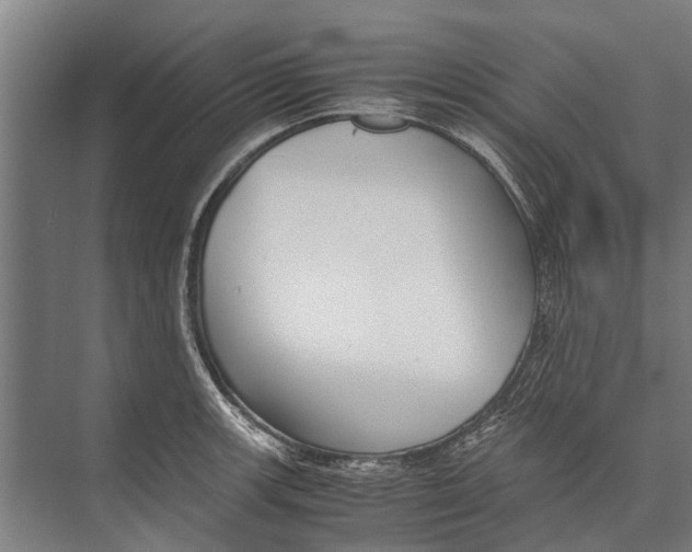 X0000071951139200608041546