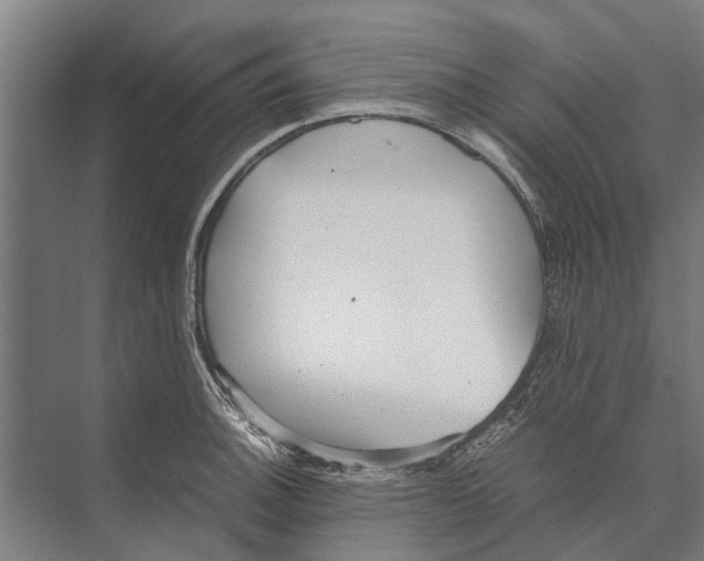 X0000071951140200608041546