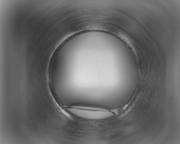 X0000071951141200608041546