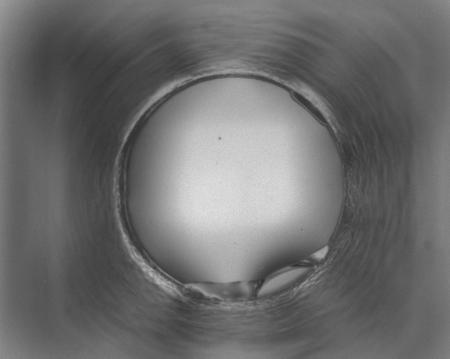 X0000071951142200608041546