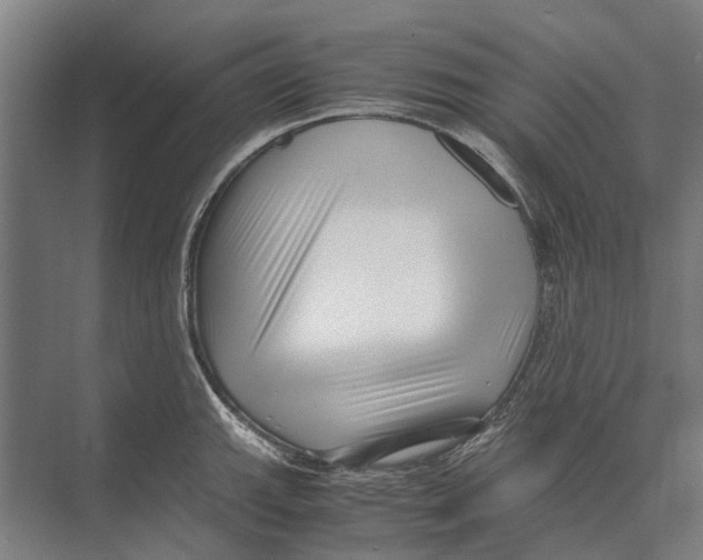 X0000071951143200608041546