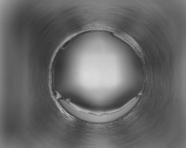 X0000071951144200608041546