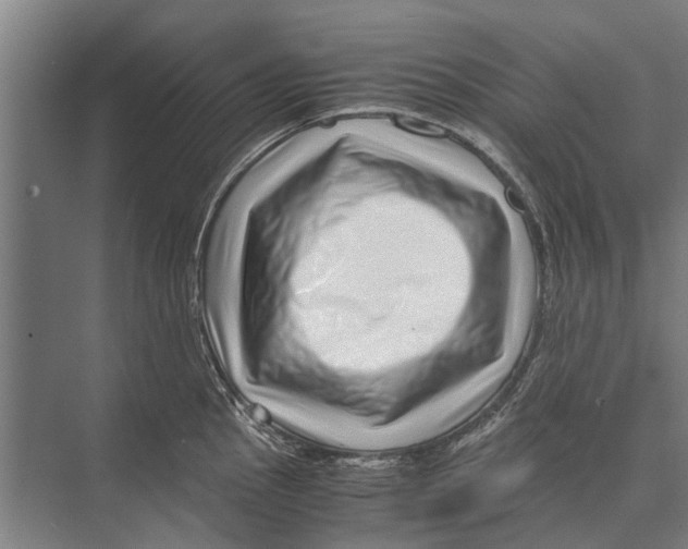 X0000071951145200608041546