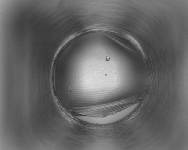 X0000071951146200608041546