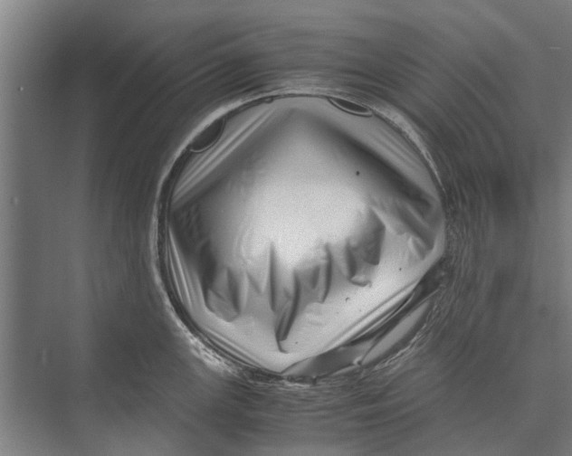 X0000071951147200608041546