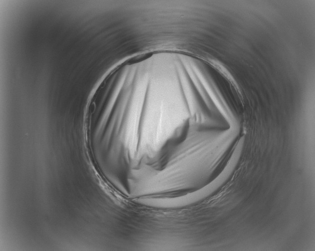 X0000071951148200608041546