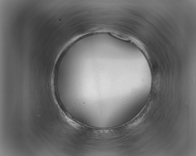 X0000071951149200608041546