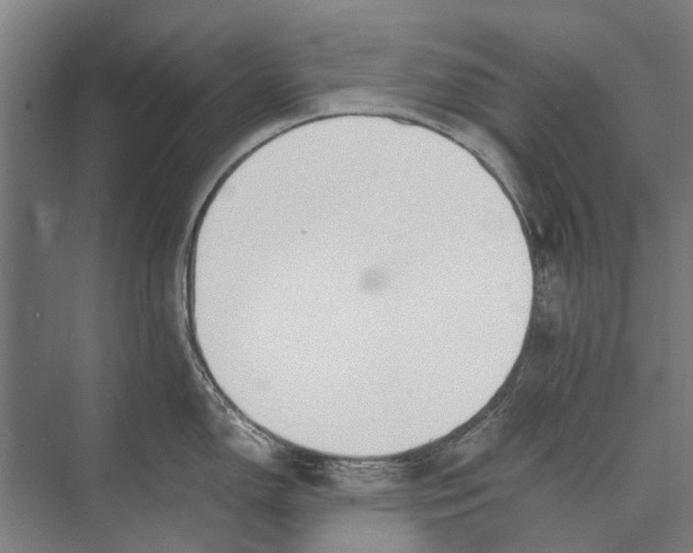 X0000071951150200608041546