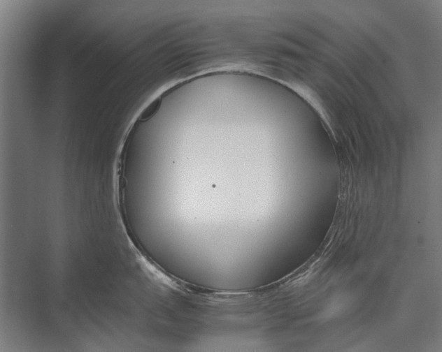 X0000071951151200608041546