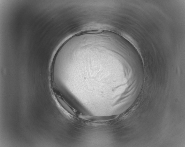 X0000071951152200608041546