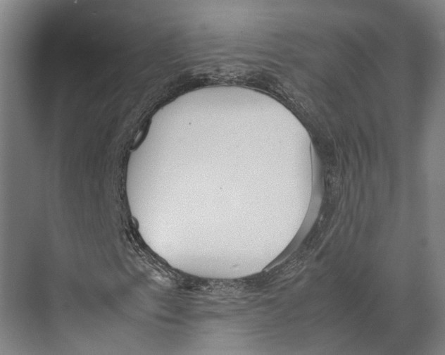 X0000071951153200608041546