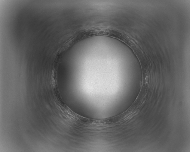 X0000071951156200608041546