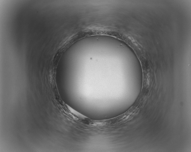 X0000071951157200608041546