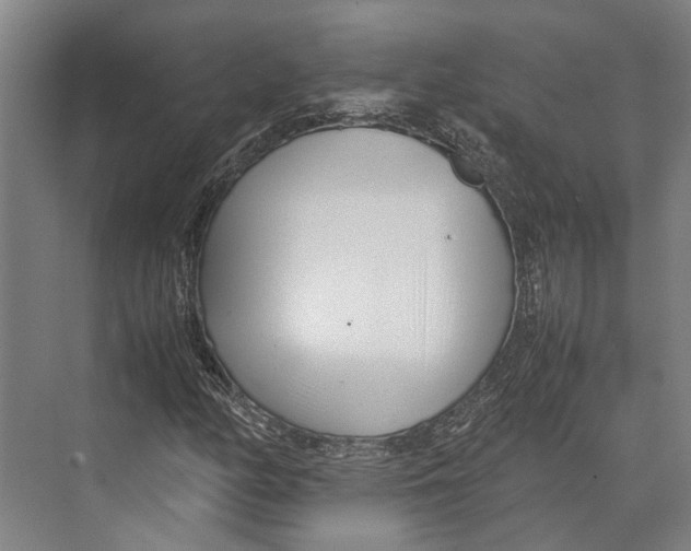 X0000071951158200608041546