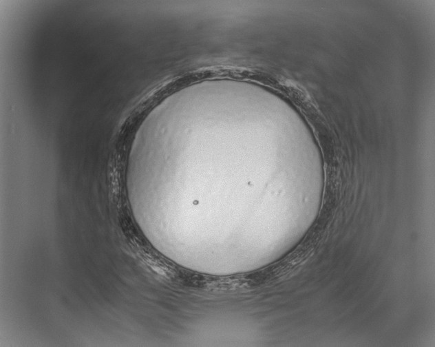 X0000071951159200608041546